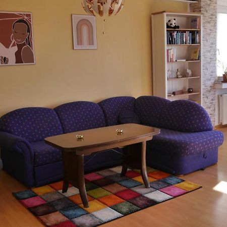 Grosszuegige Wohnung Mit Herkulesblick Naehe Uni Kassel Exterior foto